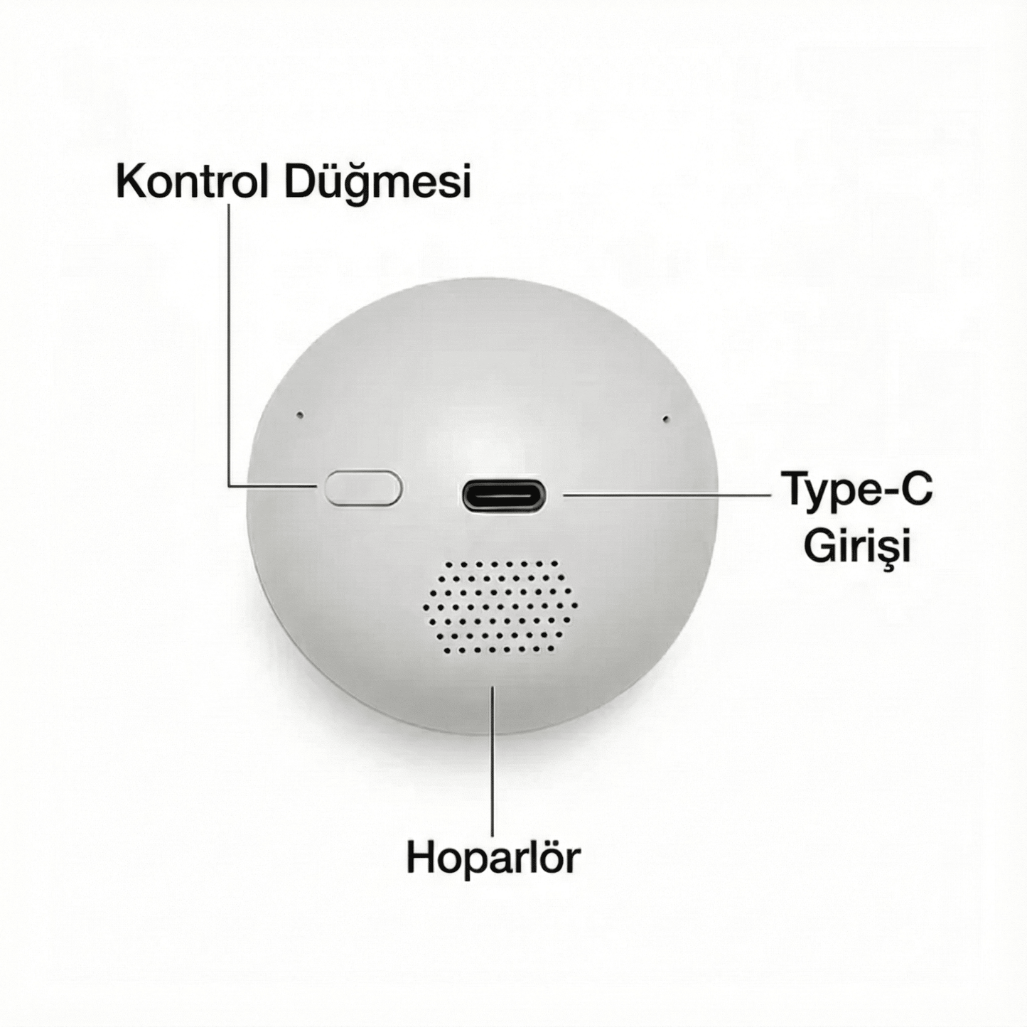 Dijital Video Anı Küresi