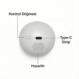 Dijital Video Anı Küresi