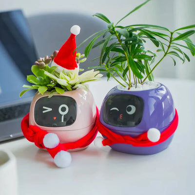 Akıllı Saksı İvy