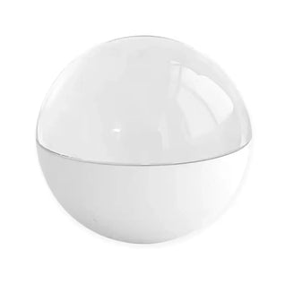 Dijital Video Anı Küresi